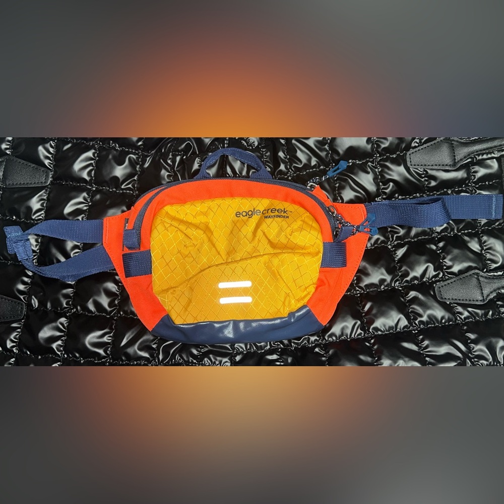 Eagle Creek Men's Belt Bag - Orange and Blue